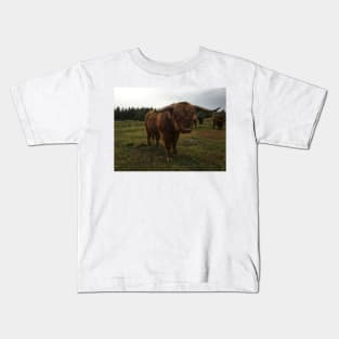 Scottish Highland Cattle Bull With Big Horns 2094 Kids T-Shirt